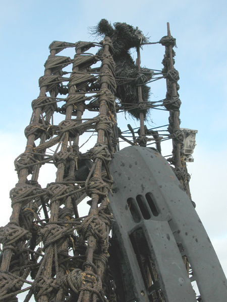 ferro (7)