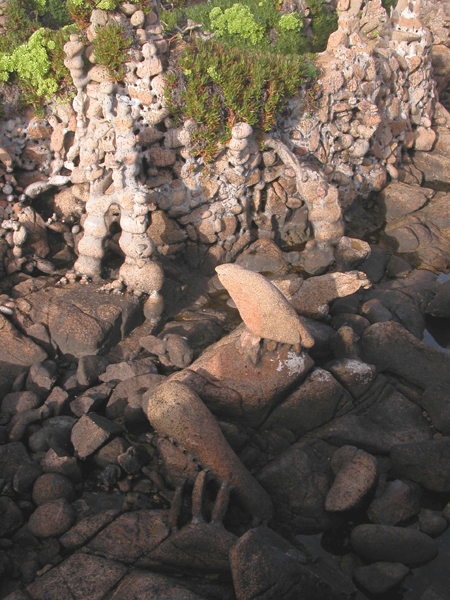 pedra (4)