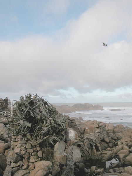 pedra (6)