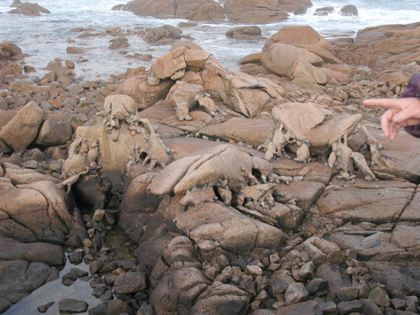 pedra-detalle (1)