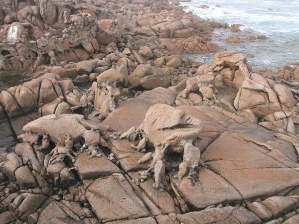 pedra-detalle (2)