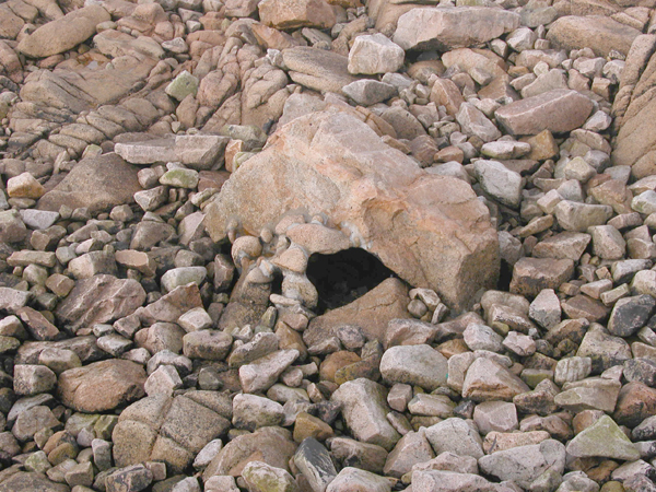 pedra-detalle (3)