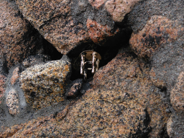 pedra-detalle (4)