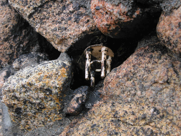 pedra-detalle (5)