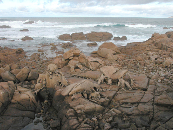 pedra-detalle (6)
