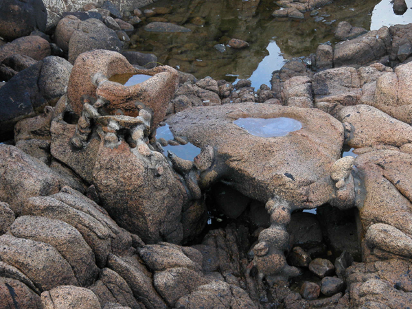 pedra-detalle (7)