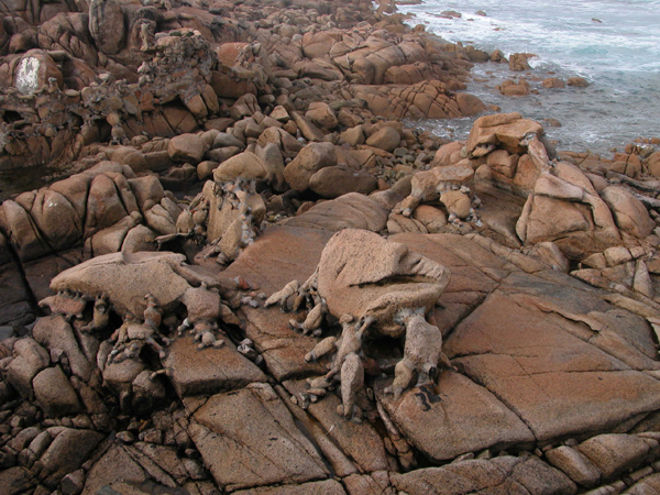 pedra-detalle